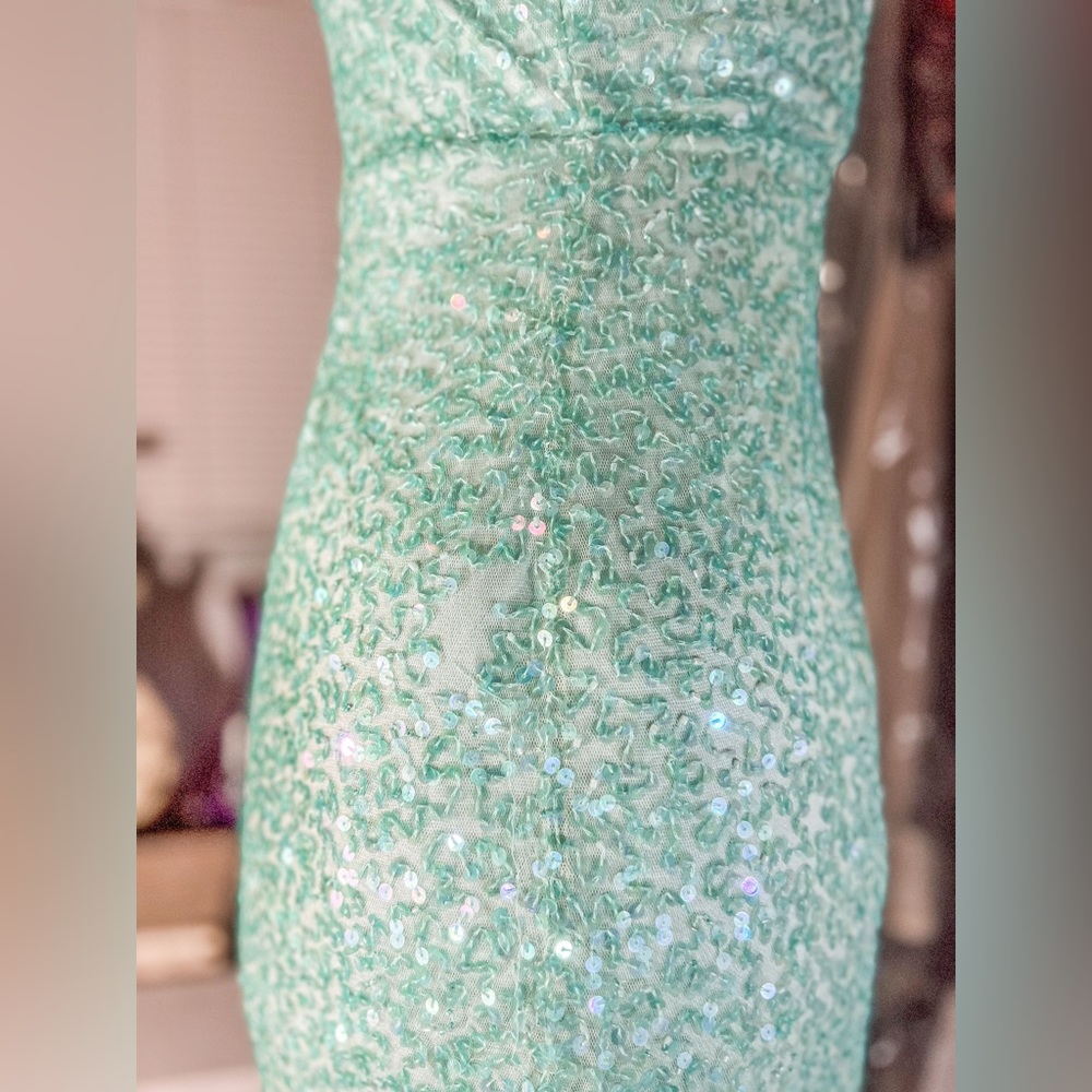 Beaded-fringe Hem Sequin Mini-Dress by Ashley Lauren, Size 8 - Picture 9 of 10